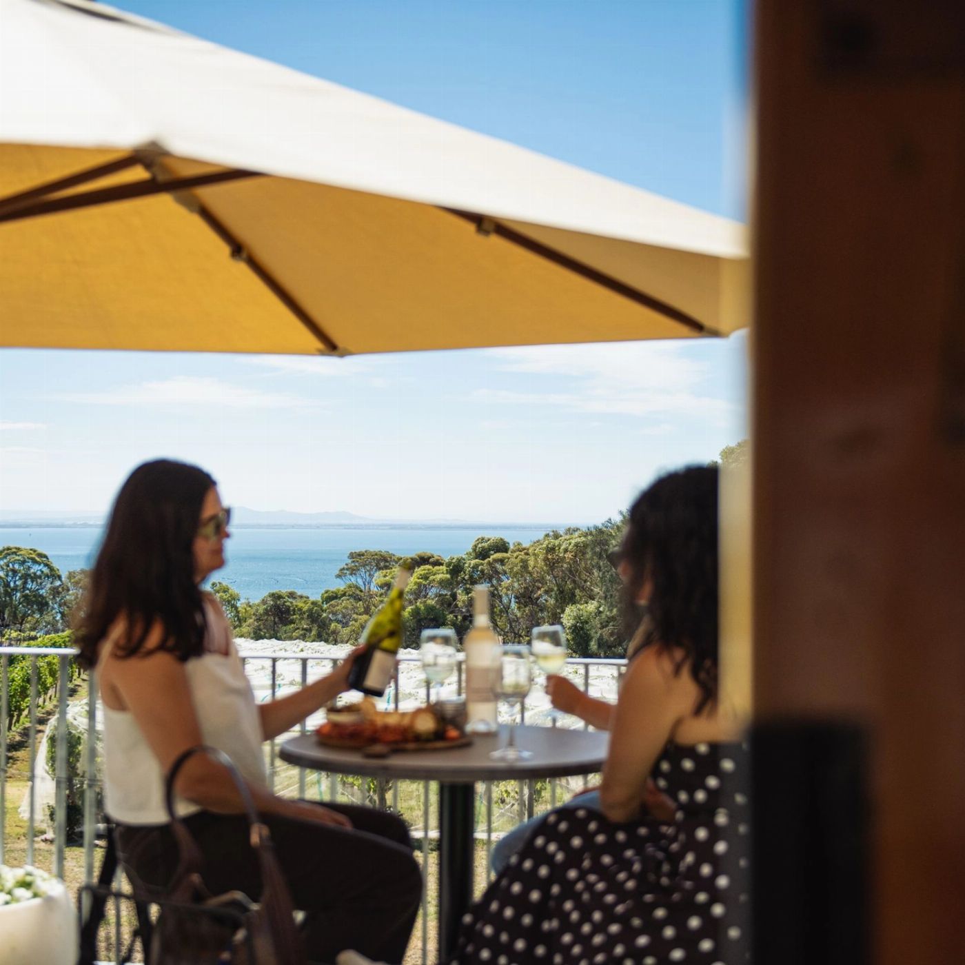 Hop It BLUE Route Bellarine Peninsula Hop-On-Hop-Off Bus Ticket