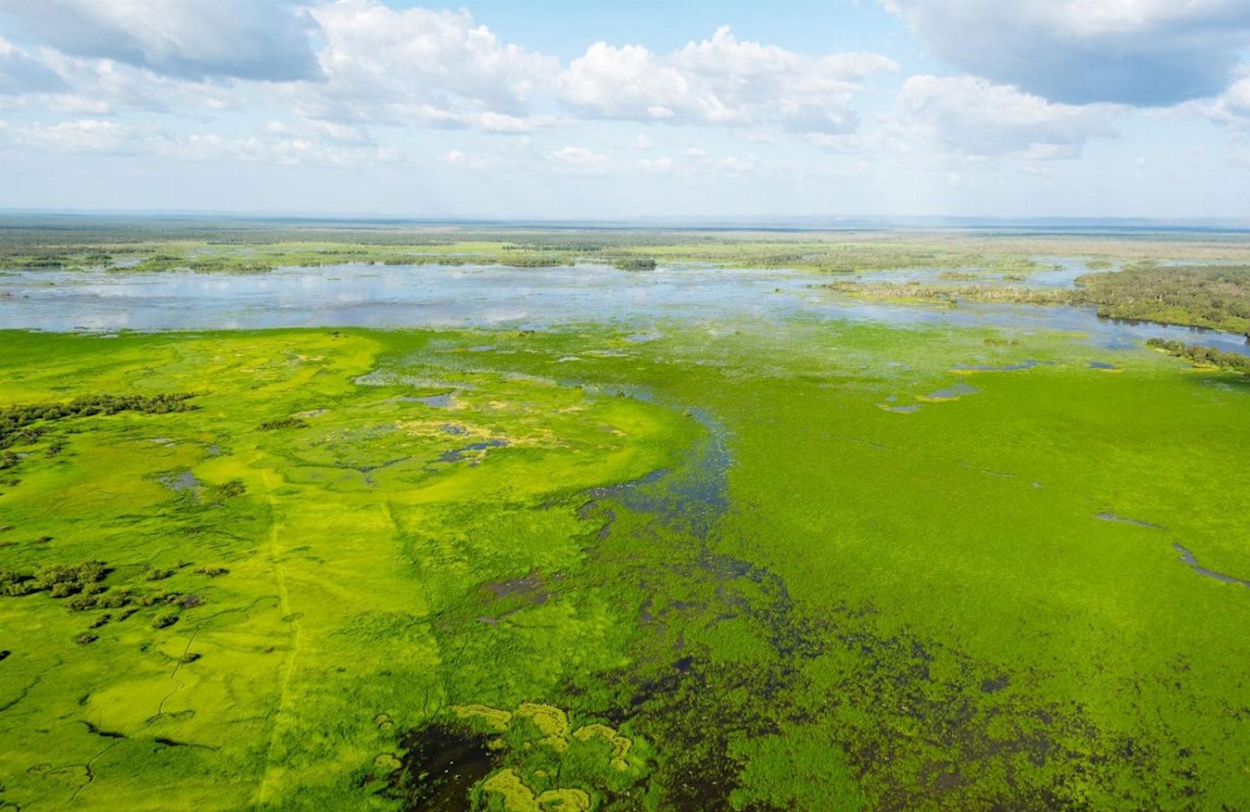 Kakadu Air Cooinda -Scenic Flight - 60 Minute