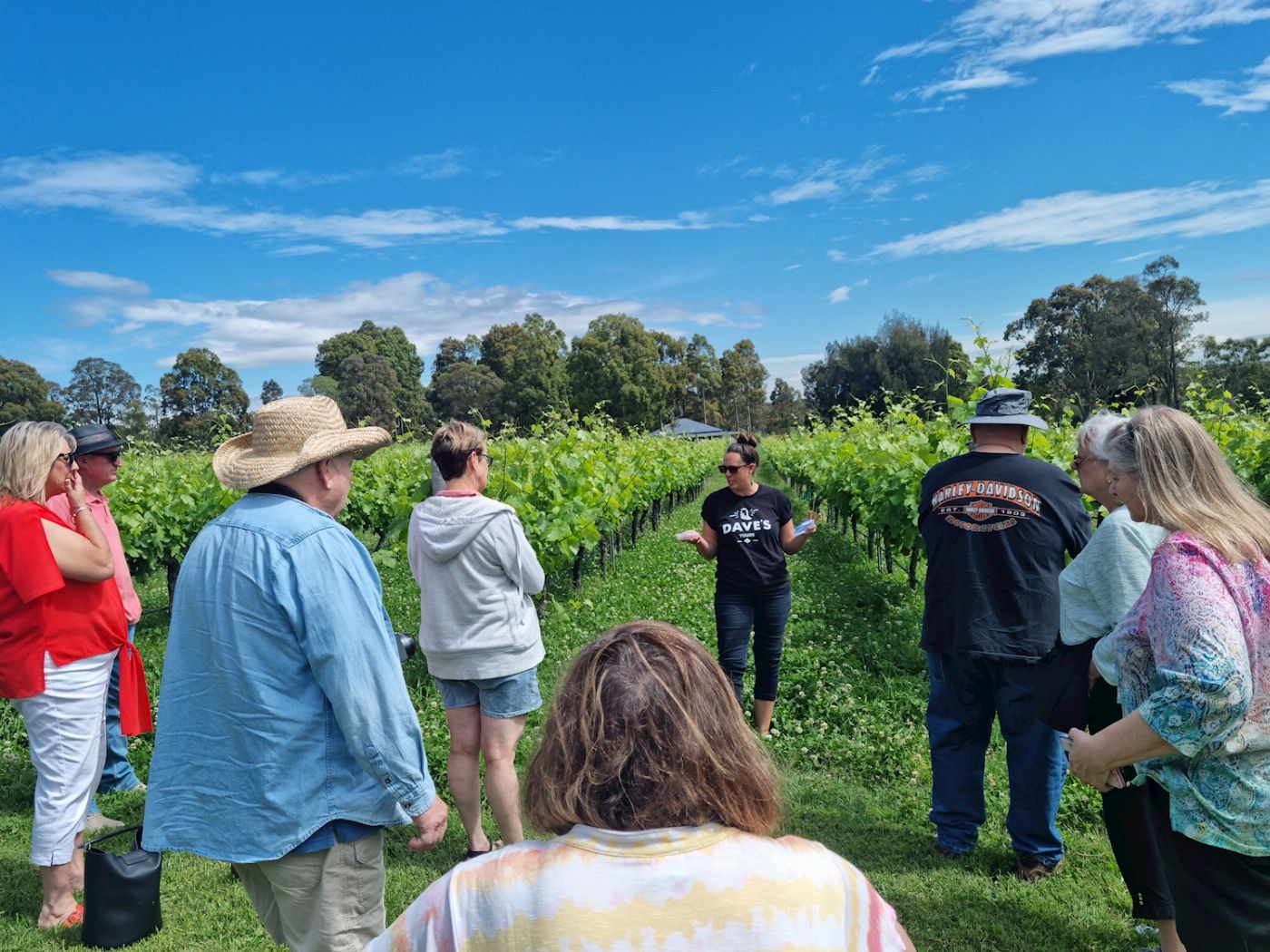 Dave's Travel & Events Taste Of The Hunter from Hunter Valley