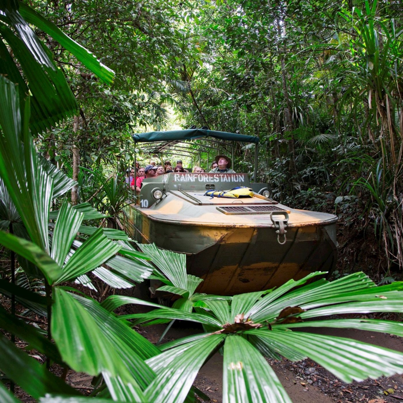 Rainforestation Nature Park Package A - Pamagirri Aboriginal Experience, Army Duck Rainforest Tour, Koala & Wildlife Park