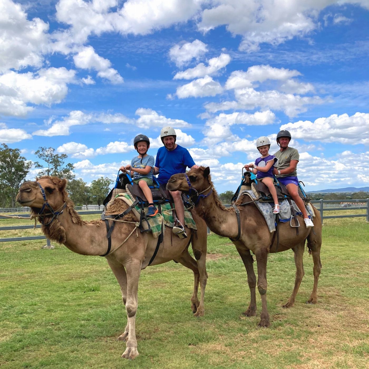 Summer Land Camels Camel Trail Ride