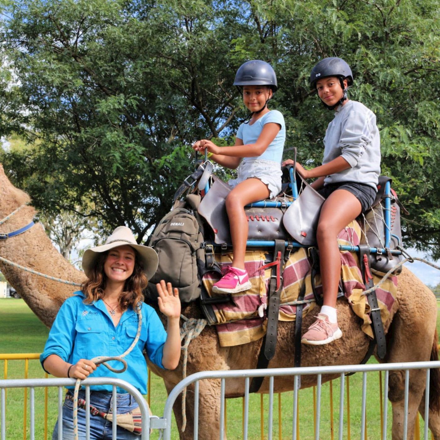 Summer Land Camels Camel Trail Ride