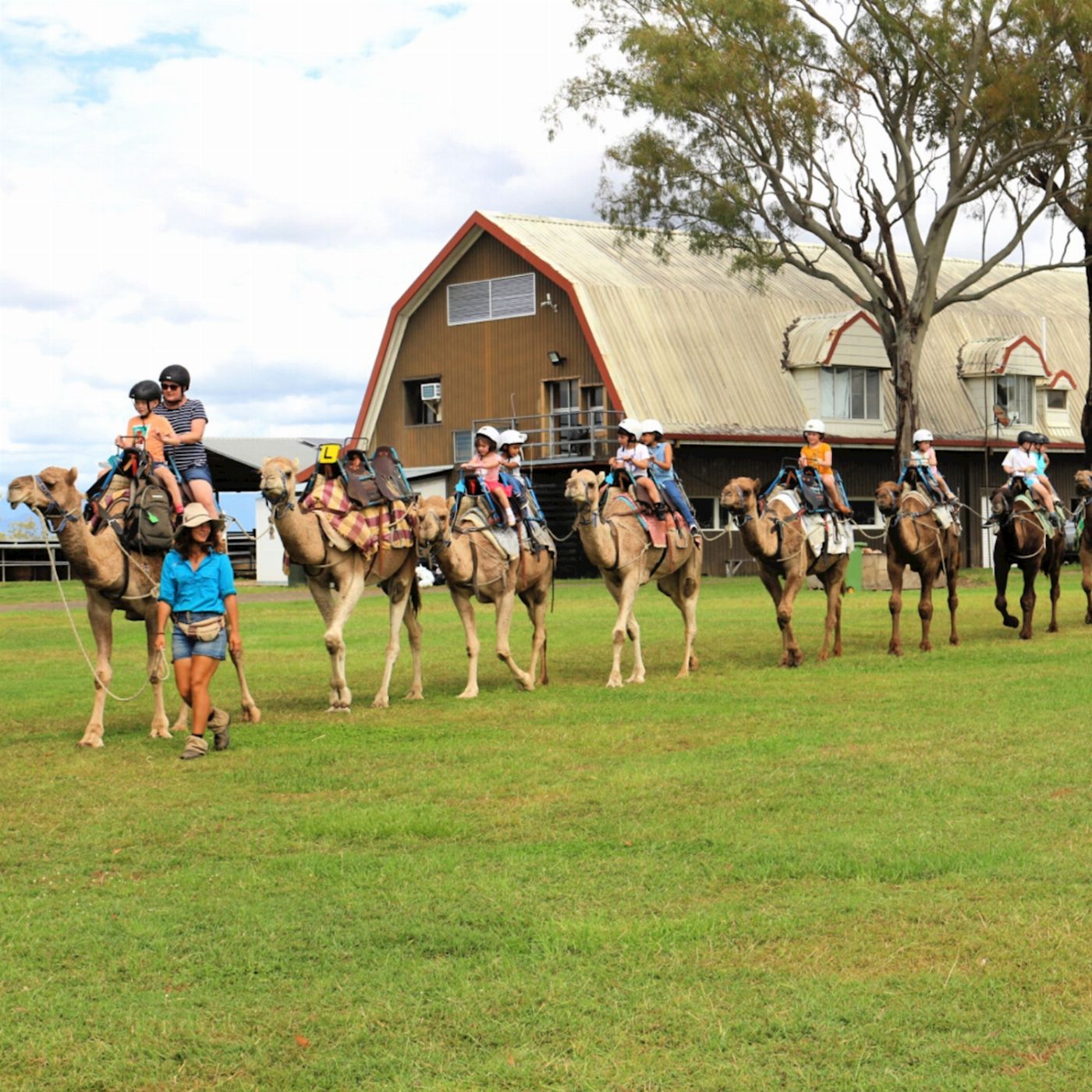 Summer Land Camels Camel Trail Ride
