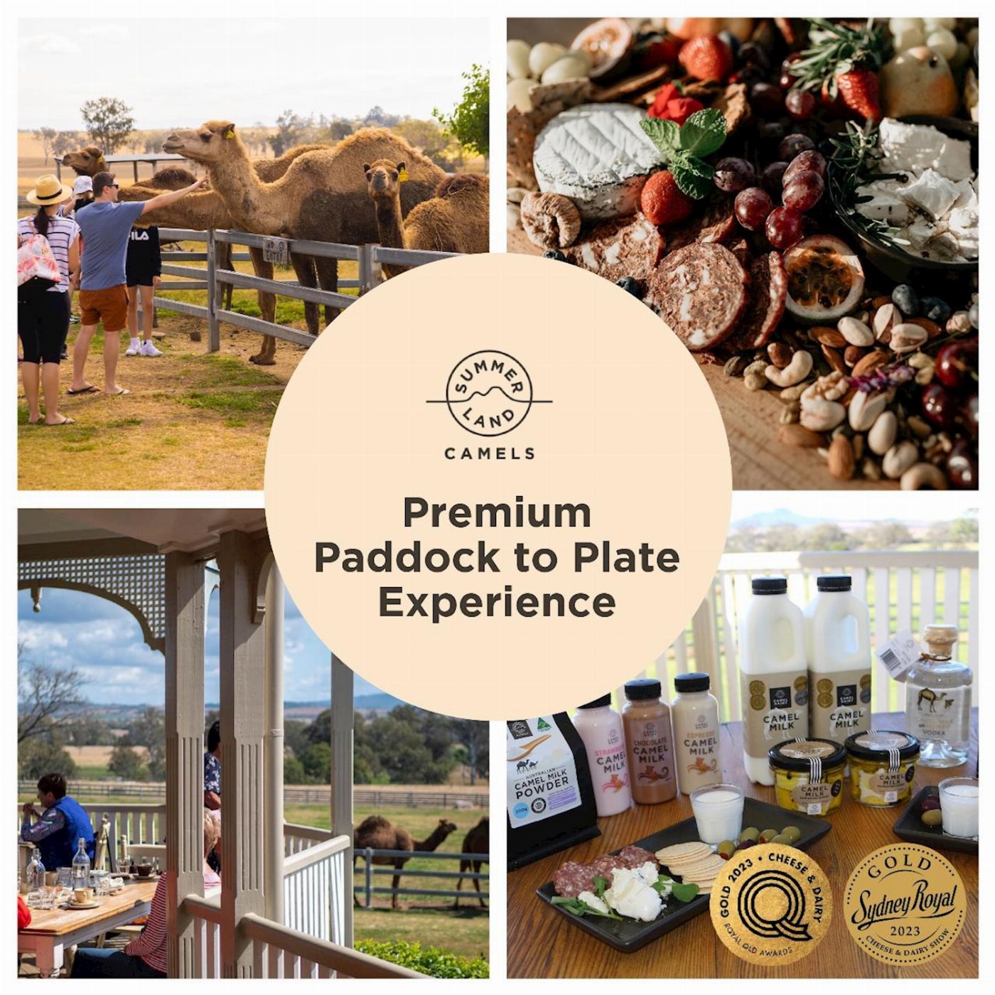 Summer Land Camels Premium Paddock to Plate
