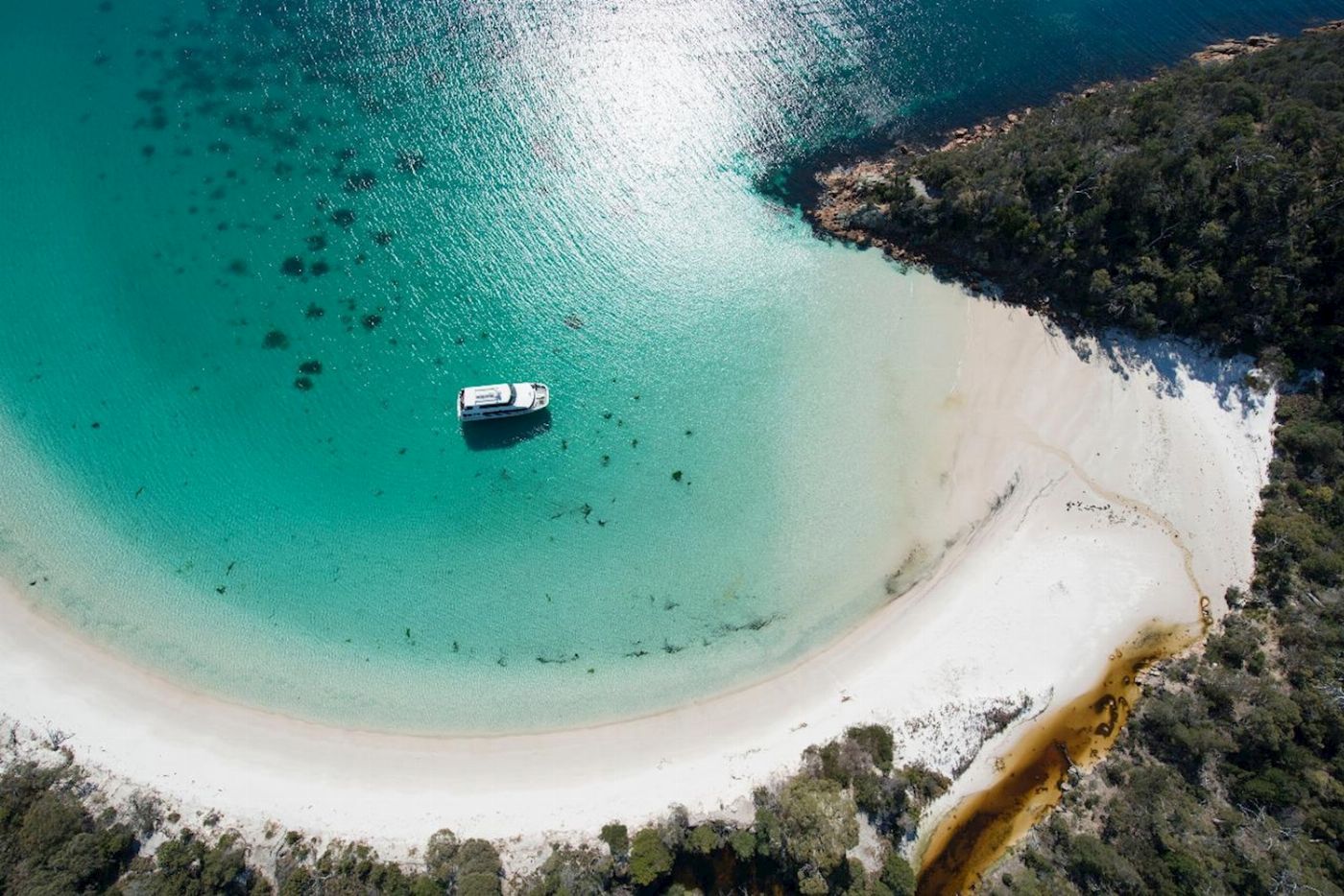 Pennicott Wilderness Journeys Wineglass Bay Cruise (BYO Lunch)