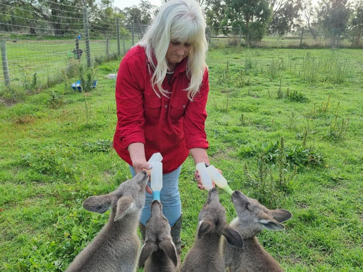 Coonawarra Experiences Caves, Cabernet & Kangaroos