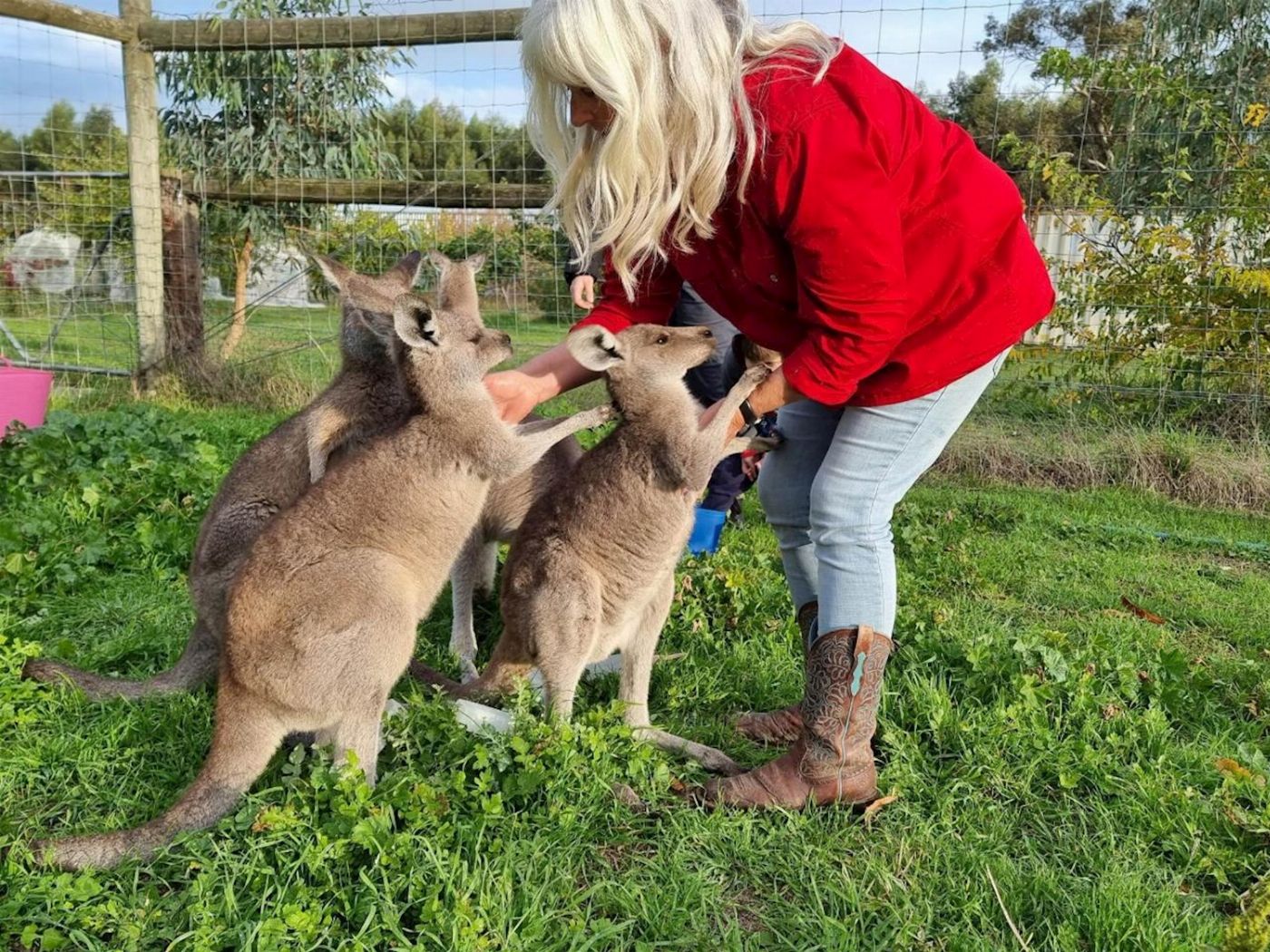 Coonawarra Experiences Caves, Cabernet & Kangaroos