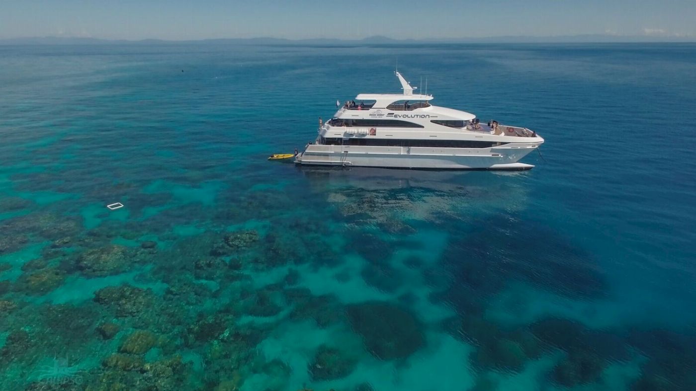 Down Under Cruise & Dive Evolution Outer Reef Cruise + Cert Dive