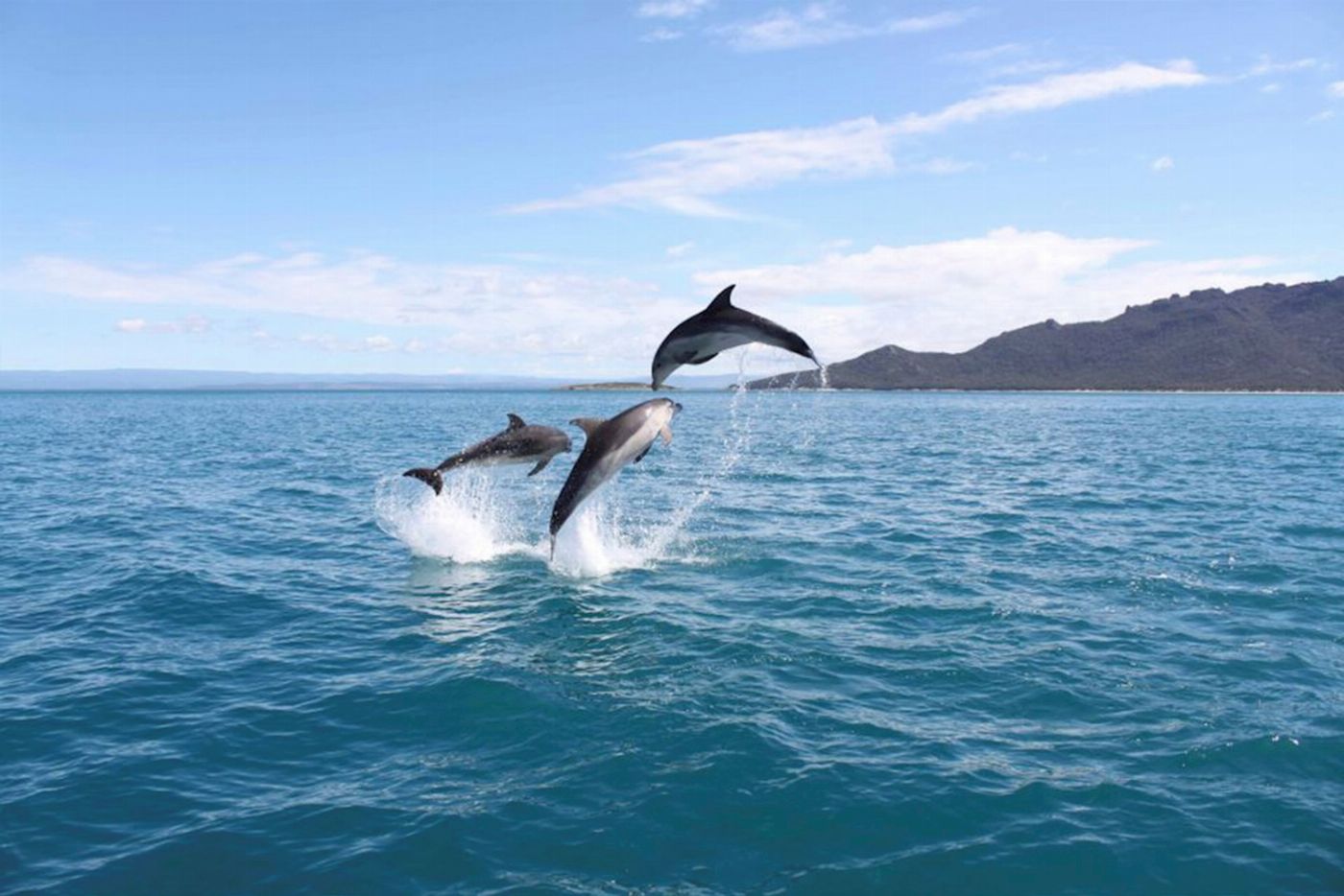 Pennicott Wilderness Journeys Wineglass Bay Cruise (Adults Only Sky Lounge)