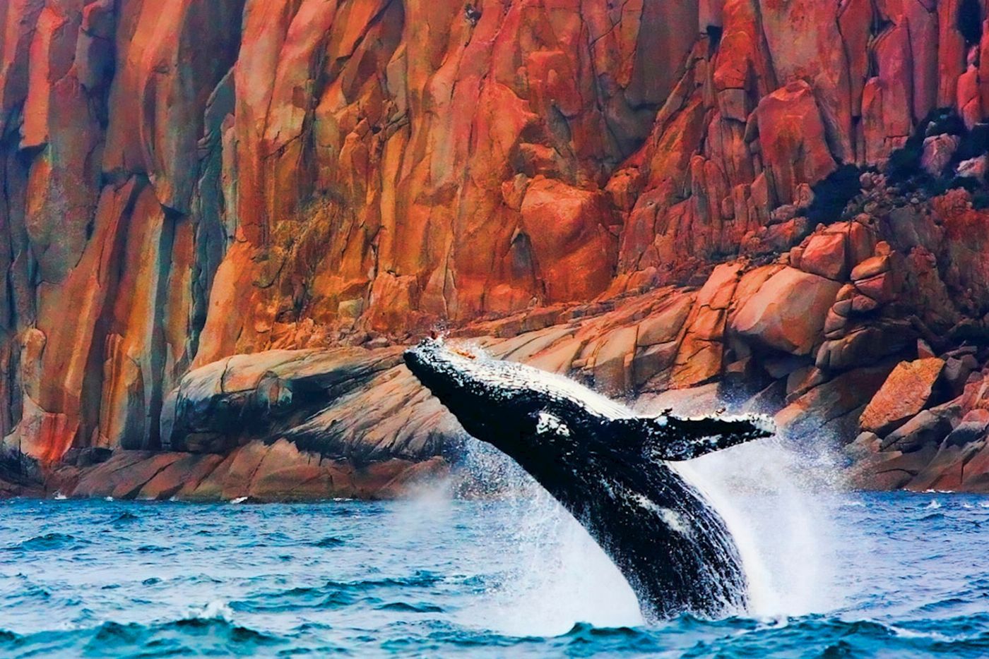 Pennicott Wilderness Journeys Wineglass Bay Cruise (Adults Only Sky Lounge)