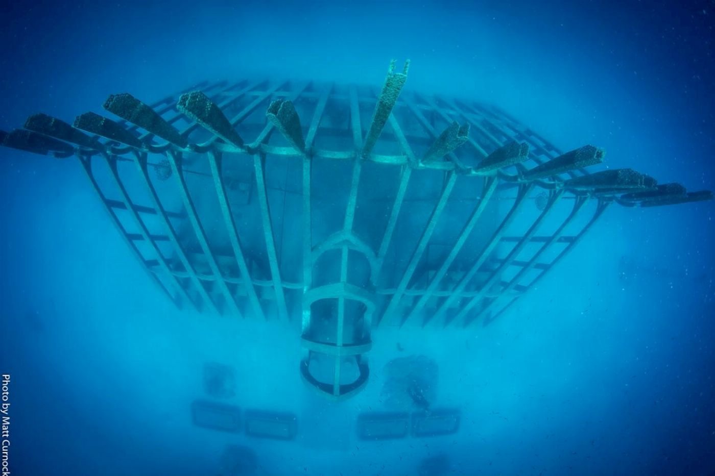 Adrenalin Dive Great Barrier Reef Day Trip inc. MOUA (Snorkeling)