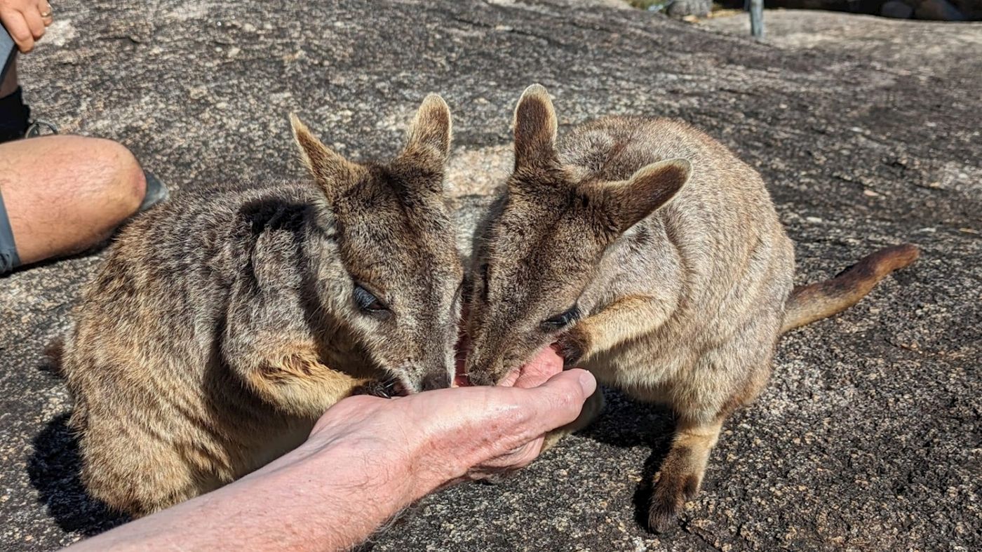 Tropic Tours Taste of Tablelands Tour