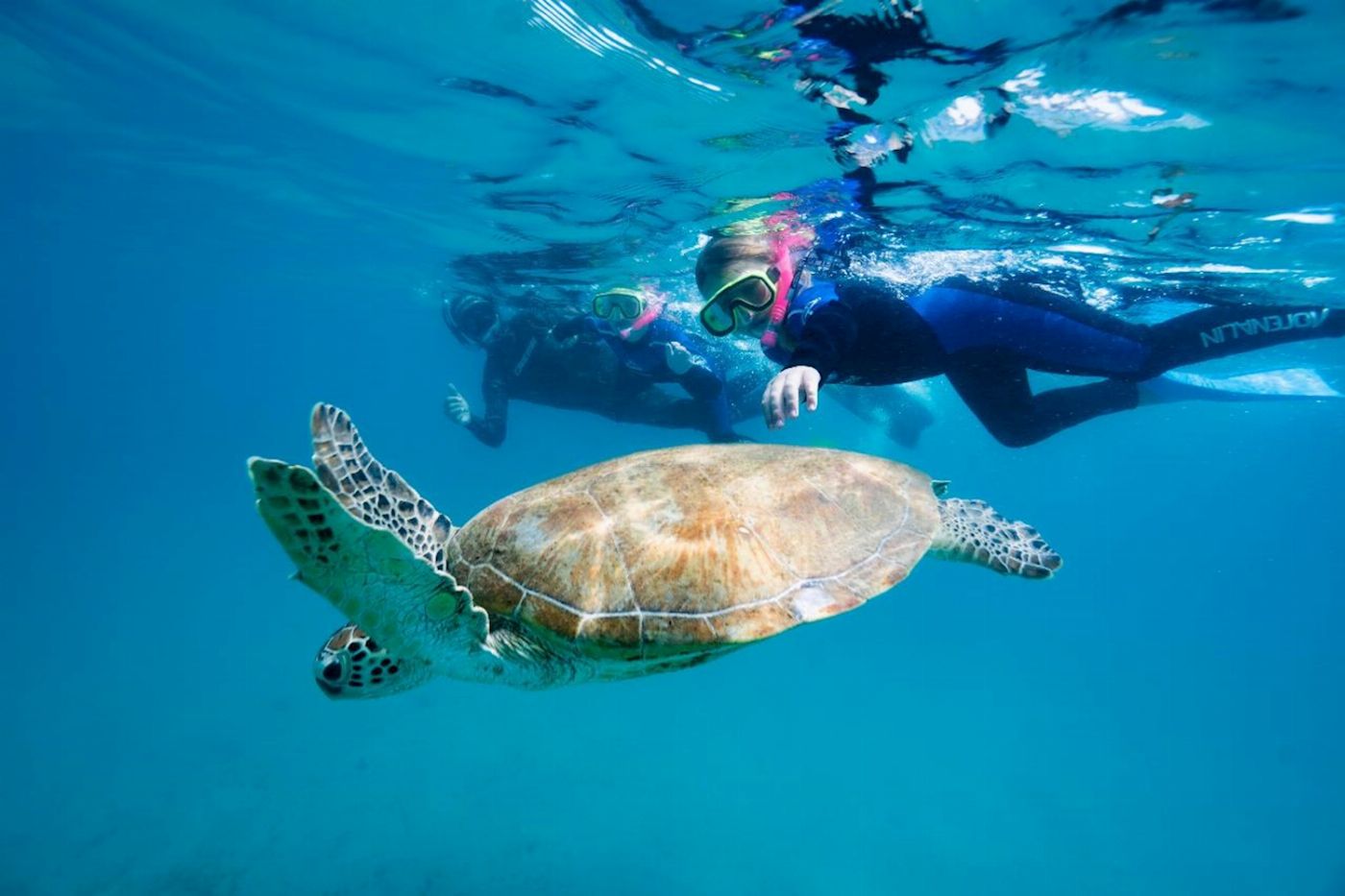 Keppel Konnections Great Keppel Island Day Trip Including Lunch & Snorkel Hire