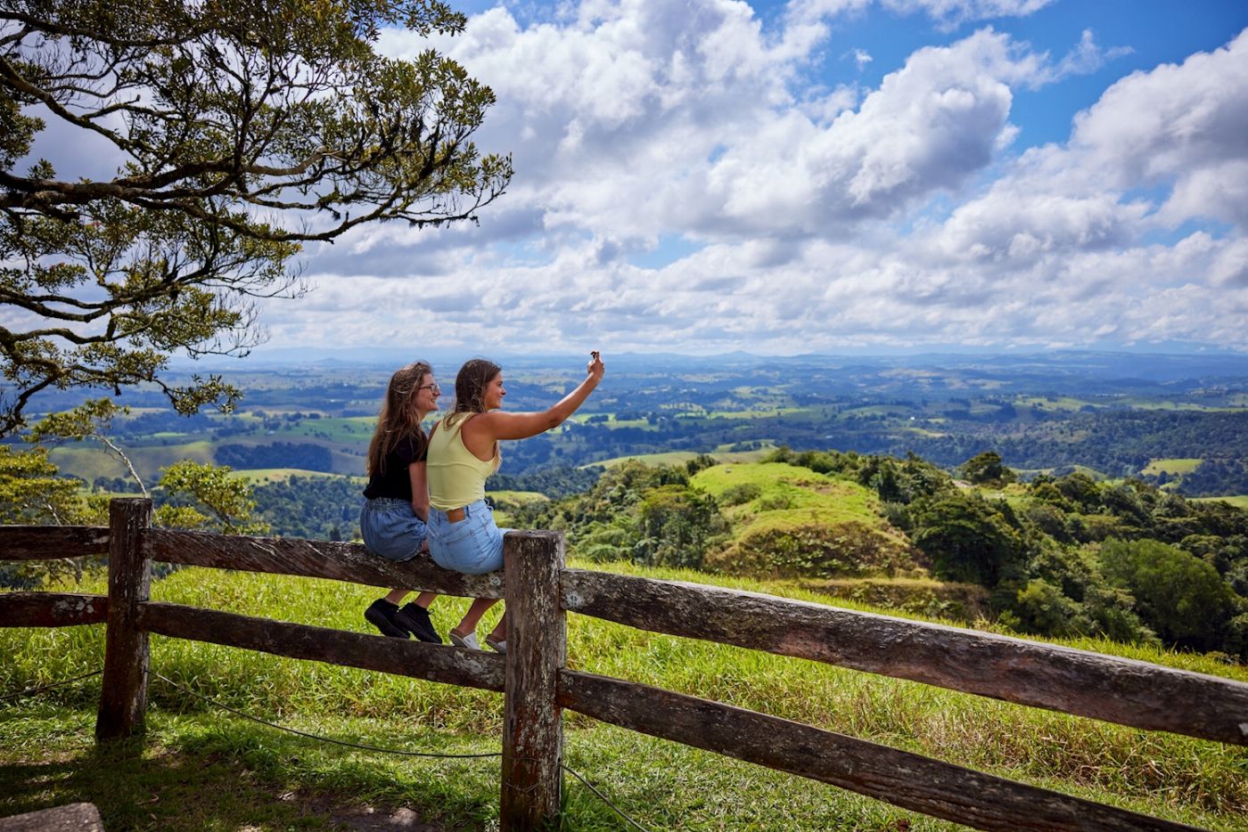 Barefoot Tours Atherton Tablelands - Day Tour