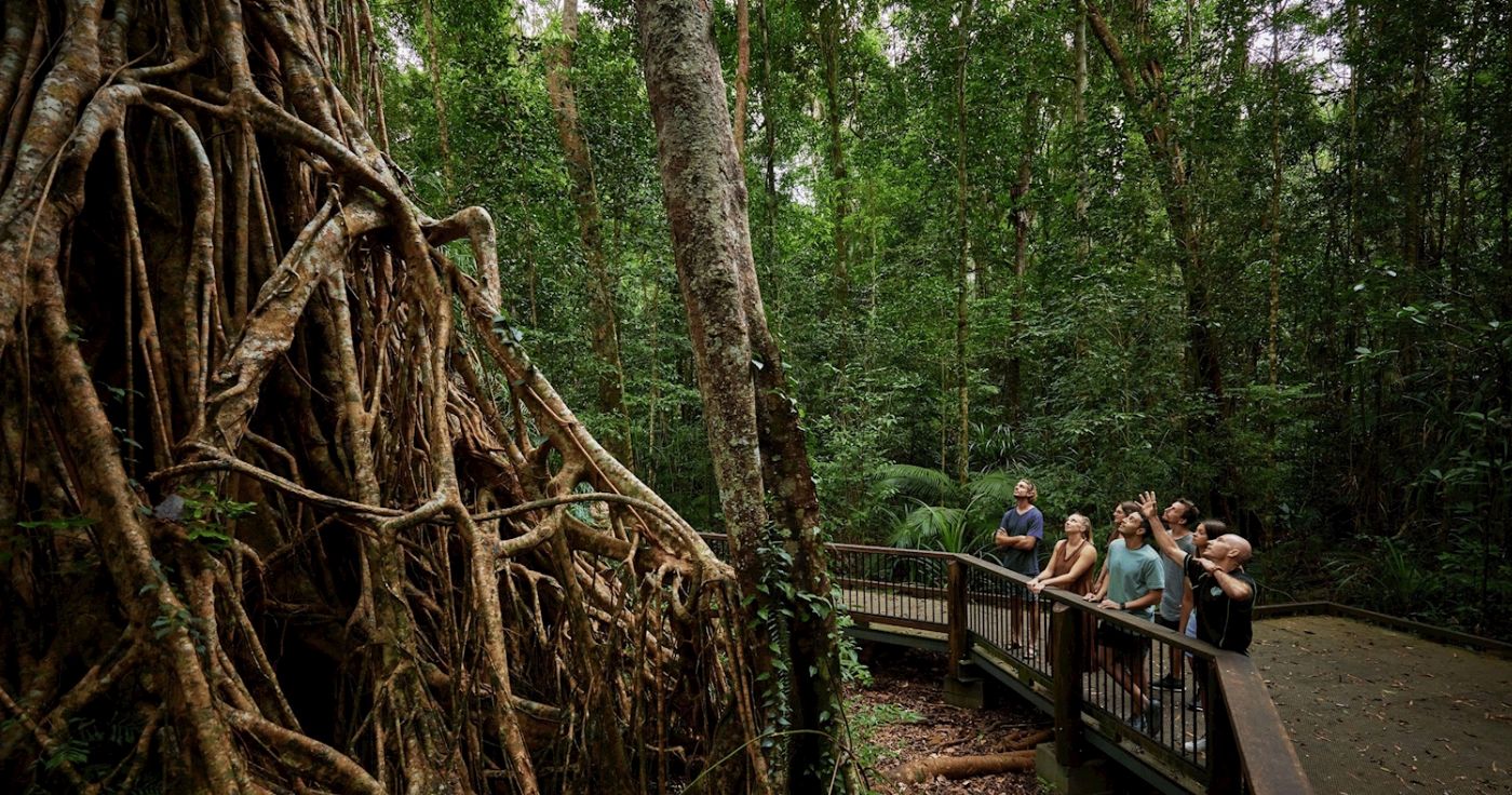 Barefoot Tours Atherton Tablelands - Day Tour