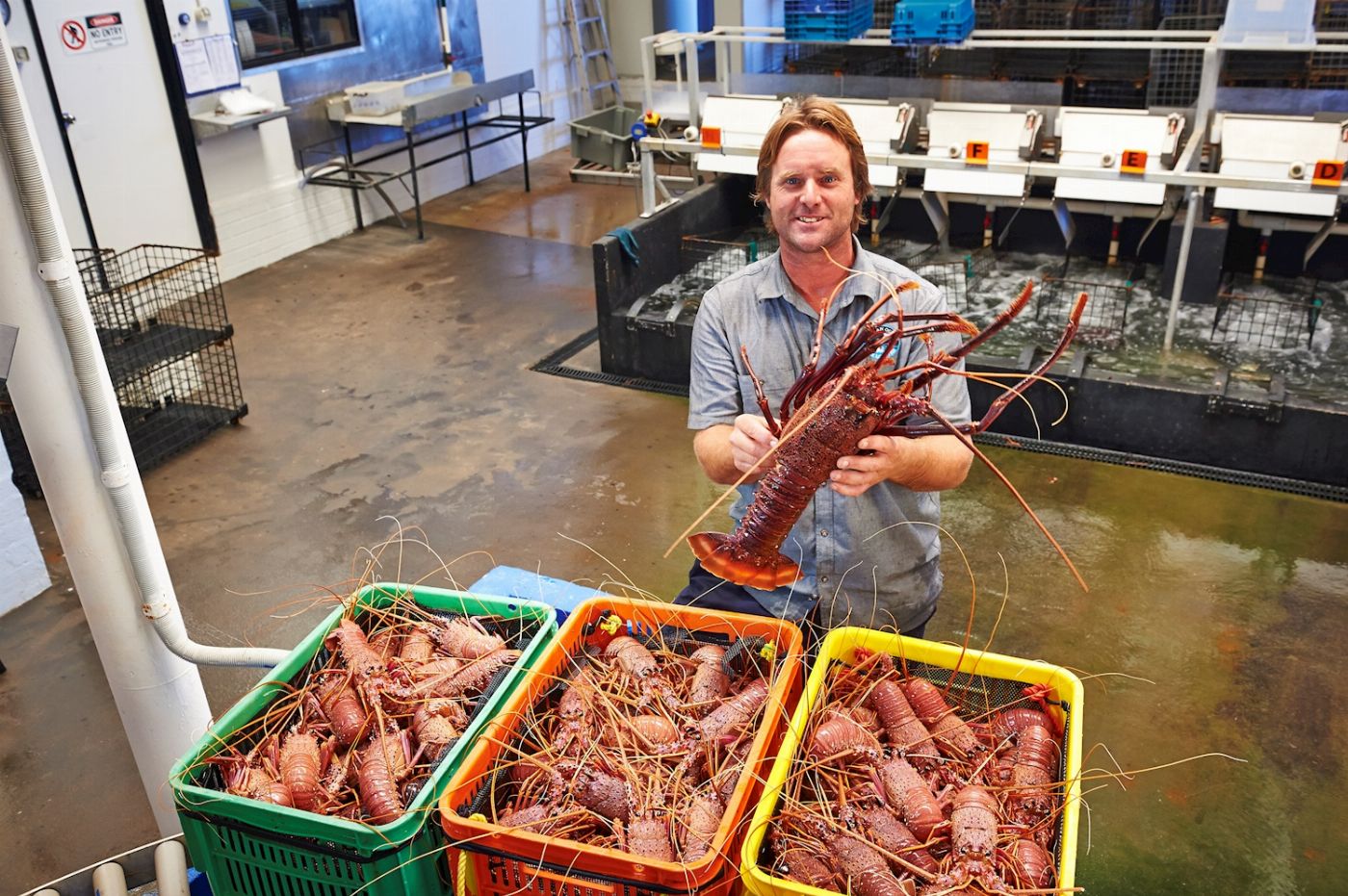 Autopia Tours Pinnacles Lobster Yanchep Day Tour