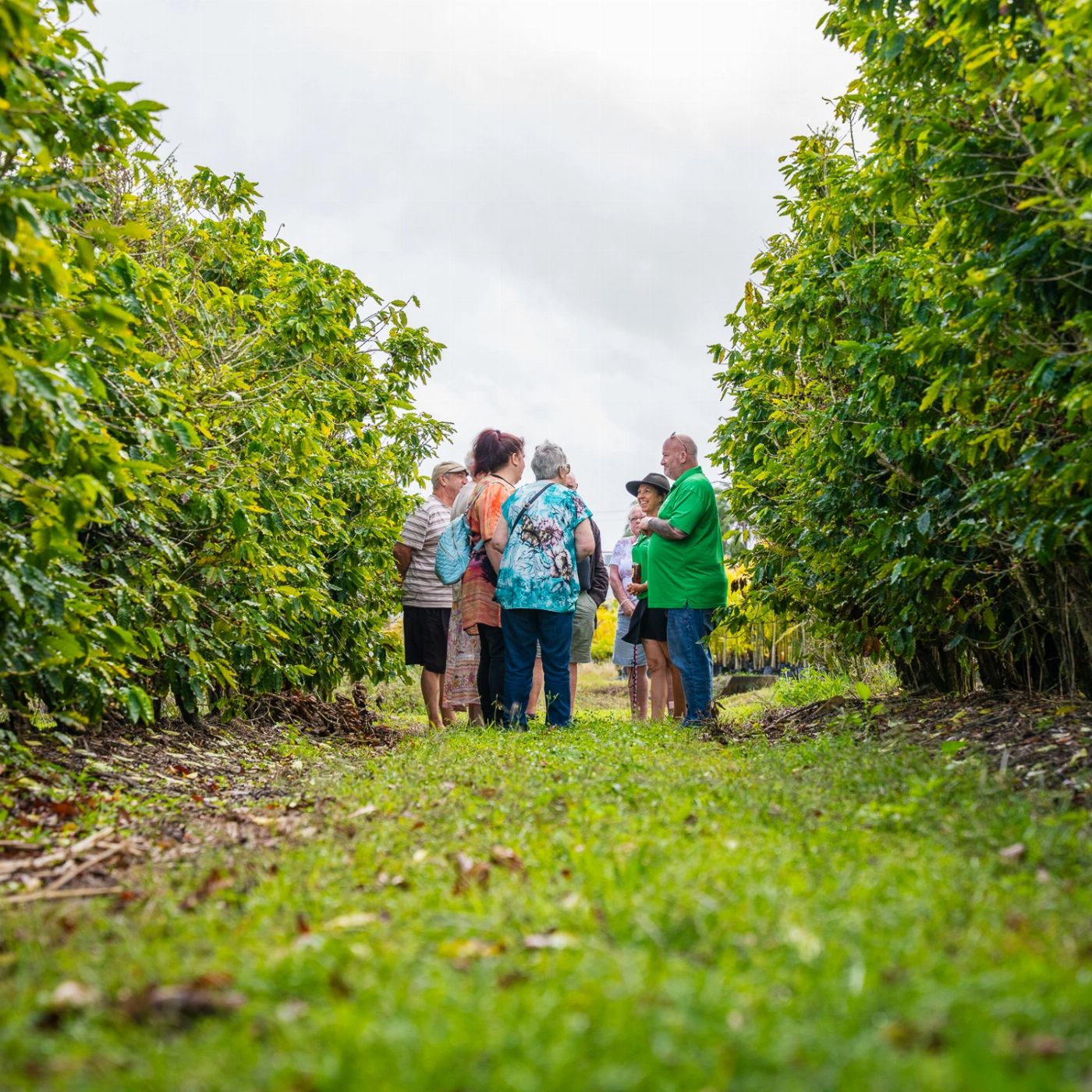 Airlie Adventure Tours The Whitsundays Mainland Exploroer