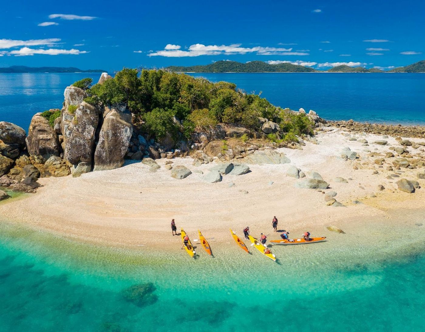 Salty Dog Sea Kayaking Half Day Inner Islands Turtle Tour