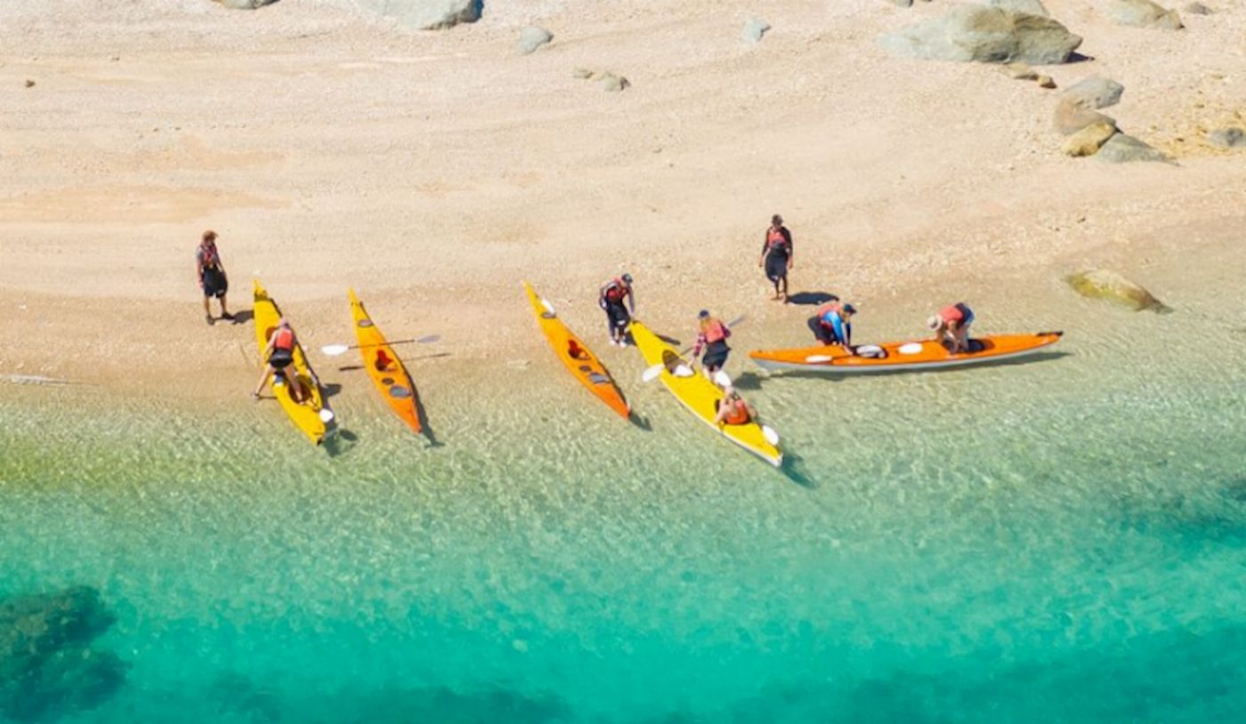 Salty Dog Sea Kayaking Half Day Inner Islands Turtle Tour