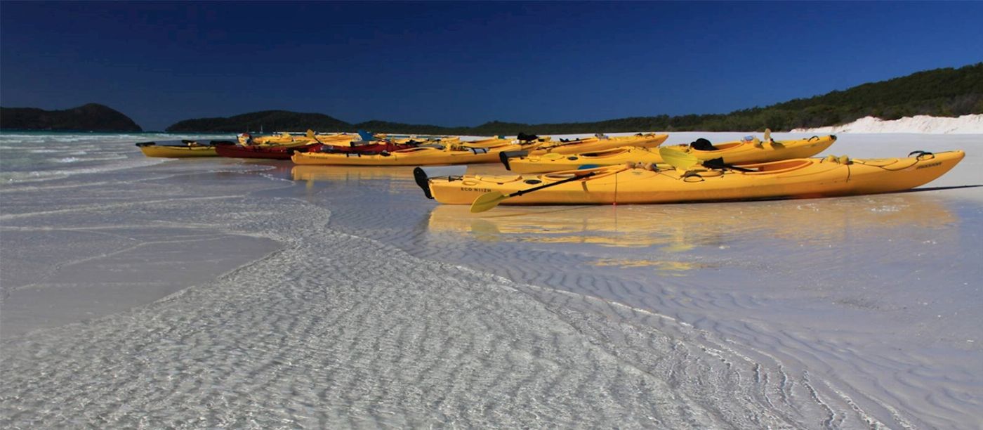 Salty Dog Sea Kayaking Half Day Inner Islands Turtle Tour