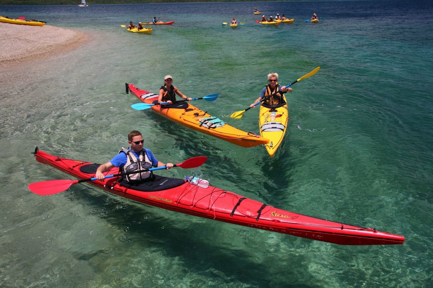 Salty Dog Sea Kayaking Half Day Inner Islands Turtle Tour