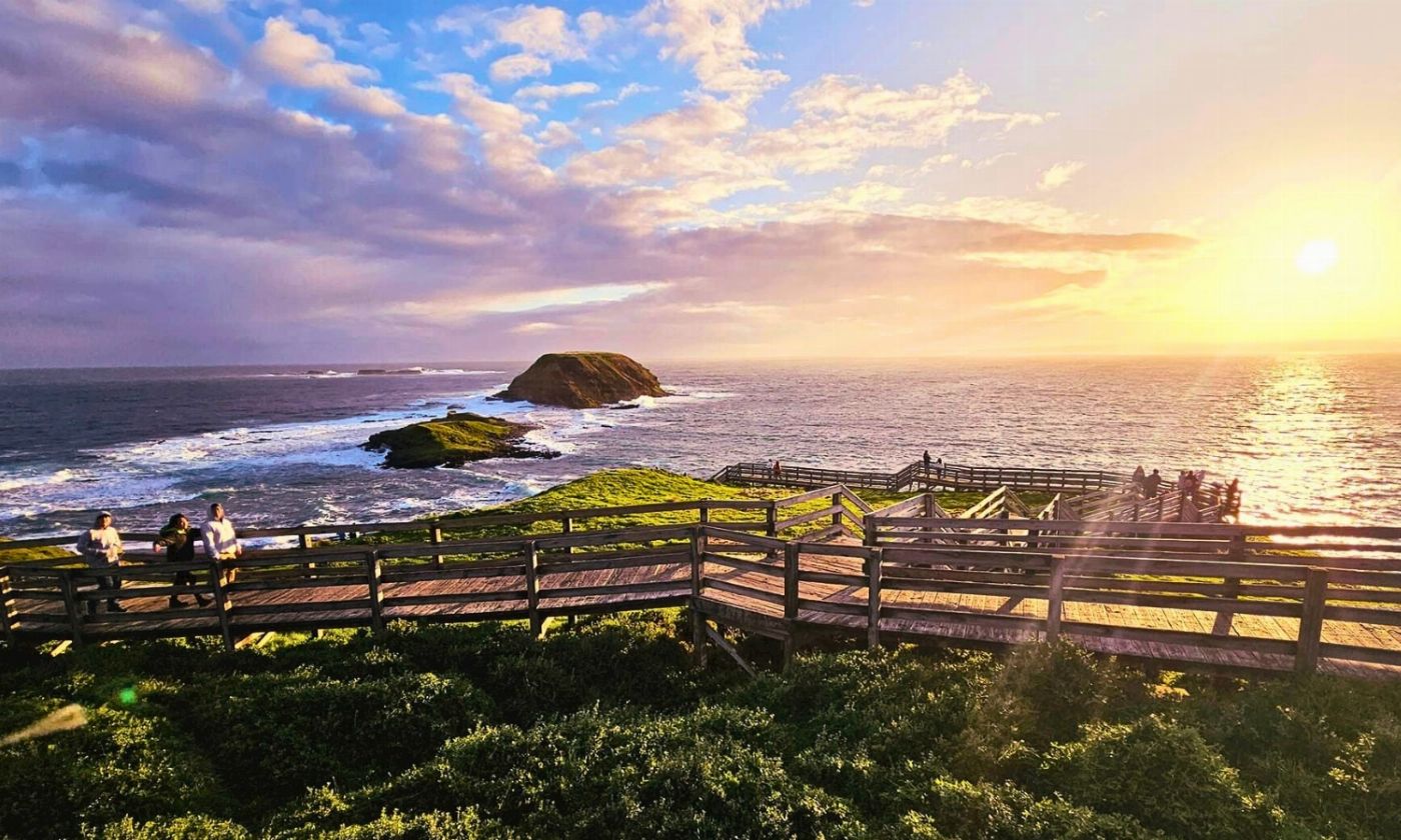 Go West Tours Phillip Island Penguin Parade Afternoon Tour from Melbourne
