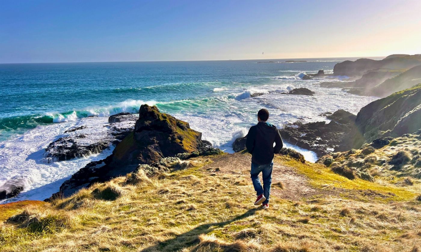 Go West Tours Phillip Island Penguin Parade Afternoon Tour from Melbourne