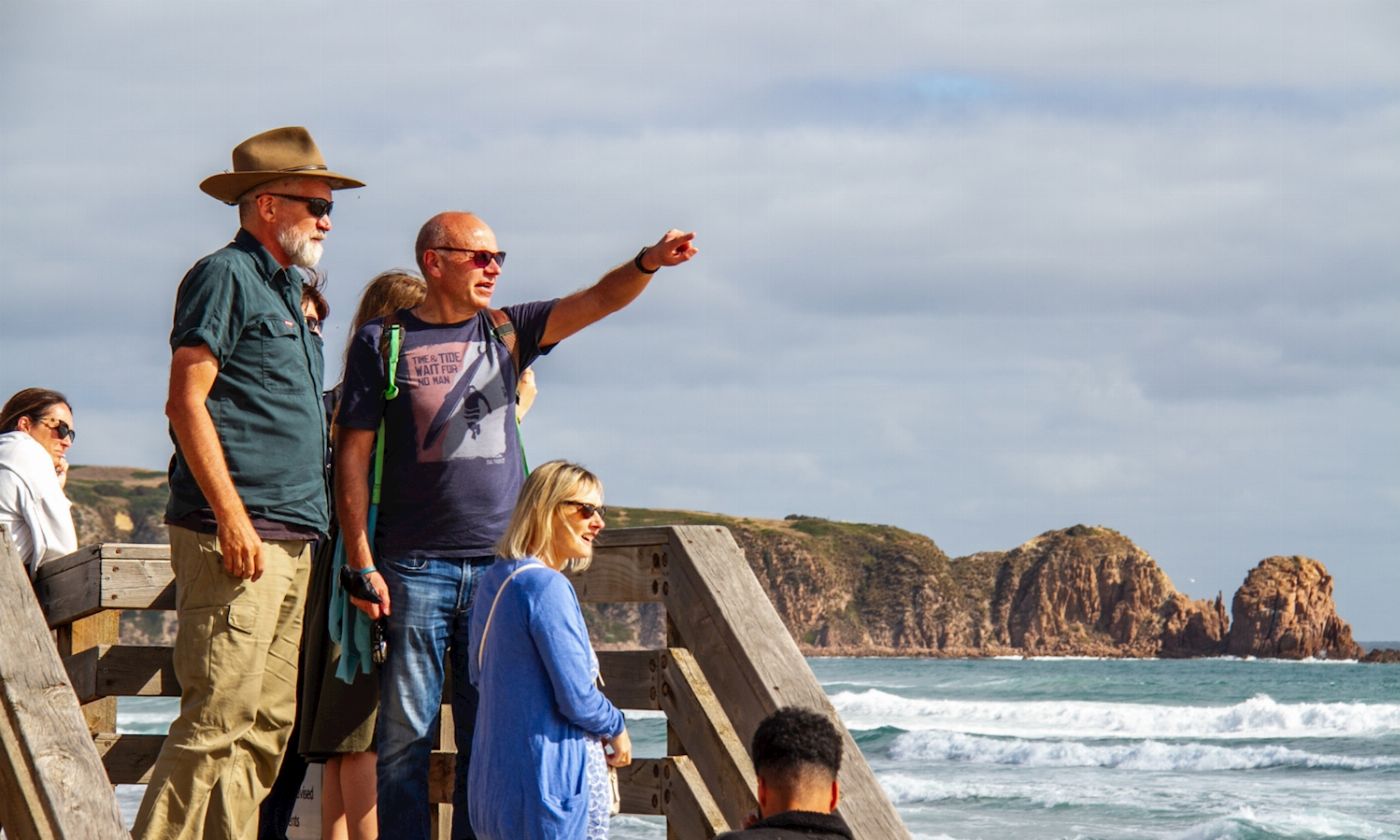 Go West Tours Phillip Island Penguin Parade Afternoon Tour from Melbourne