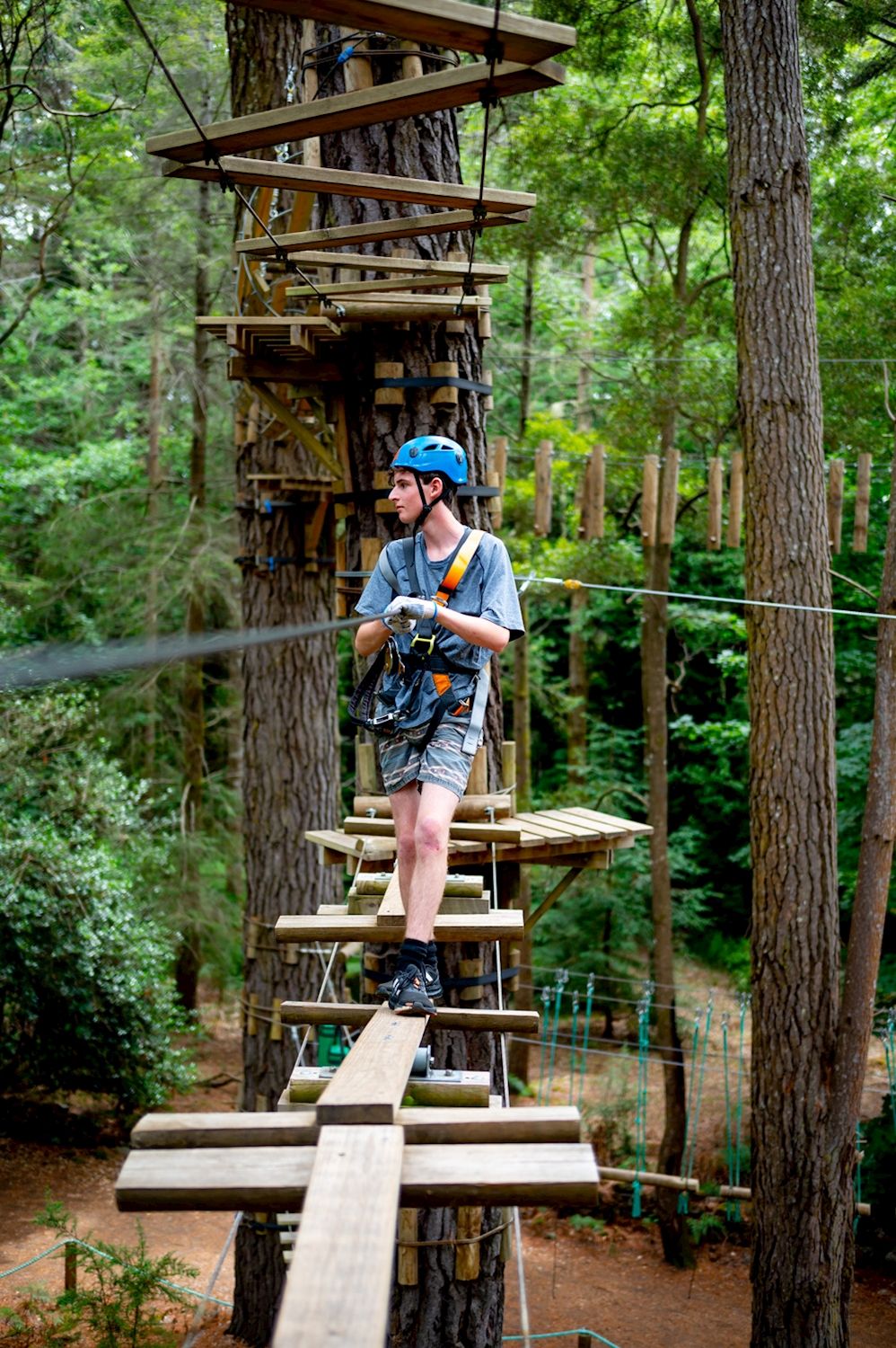 Treetops Adventure Hollybank Treeropes Course