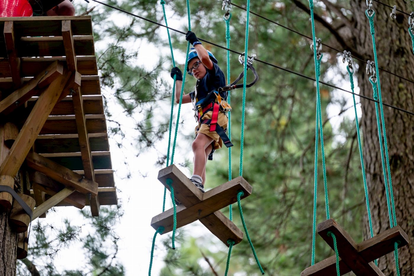 Treetops Adventure Hollybank Treeropes Course