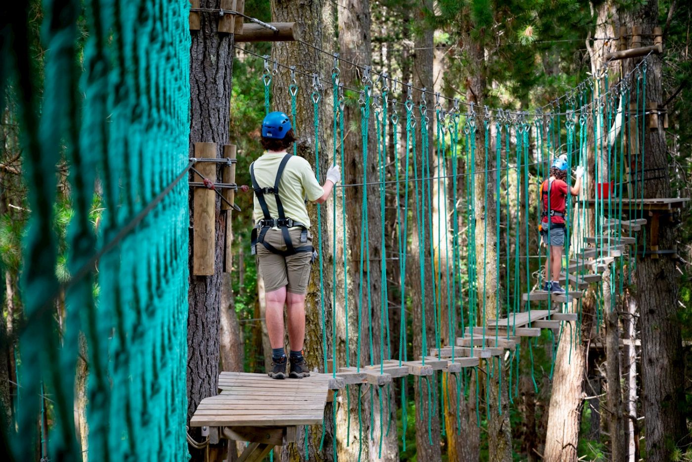 Treetops Adventure Hollybank Treeropes Course