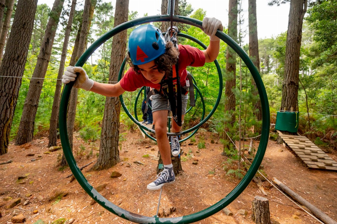 Treetops Adventure Hollybank Treeropes Course