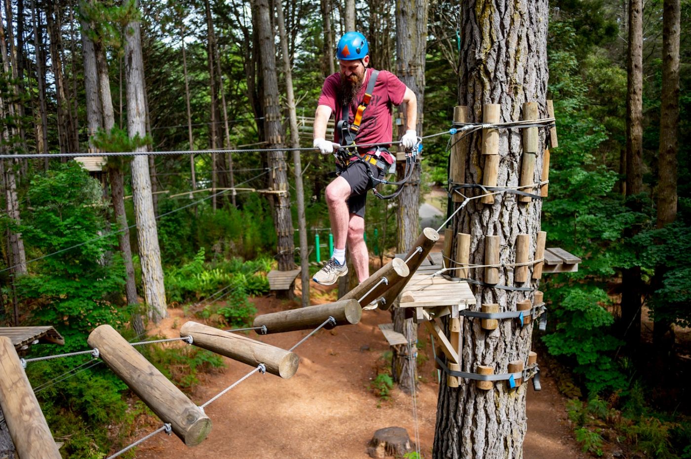 Treetops Adventure Hollybank Treeropes Course