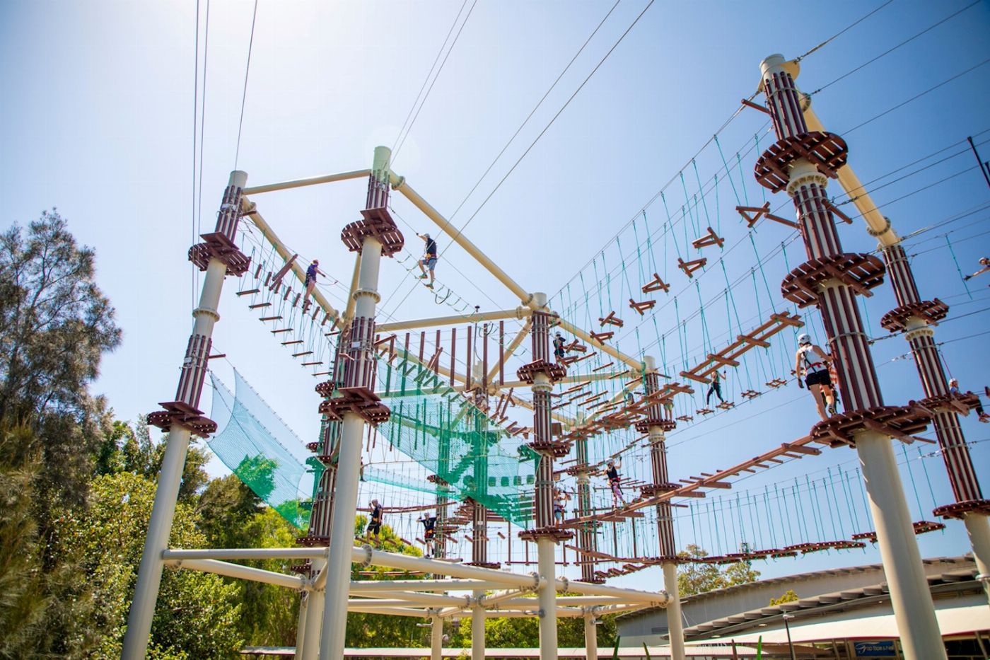 Treetops Adventure Next Level - Standard Pass