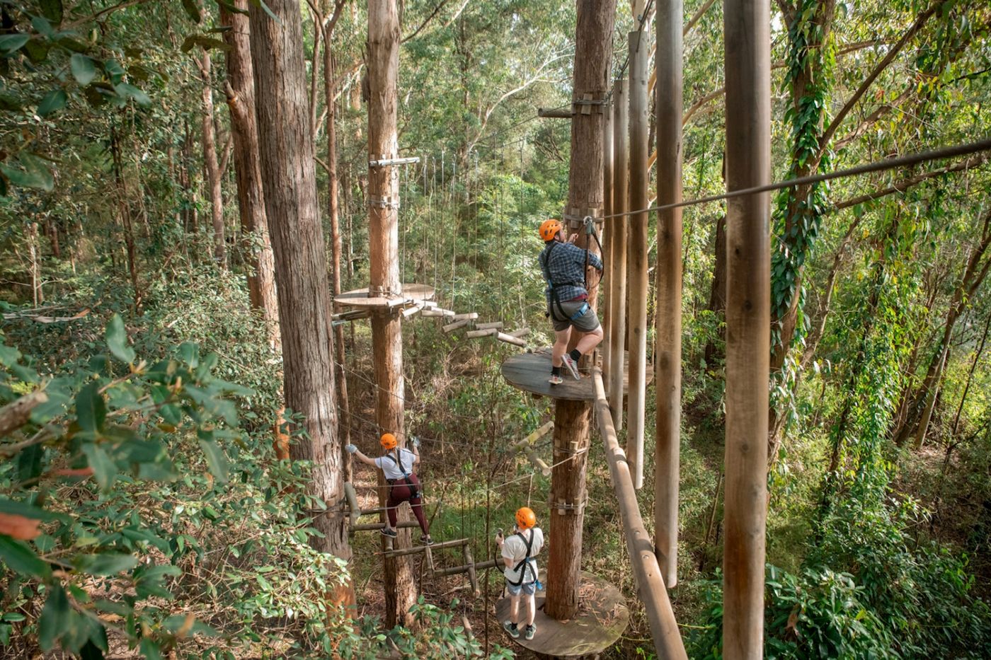 Treetops Adventure Central Coast Tree Ropes Course