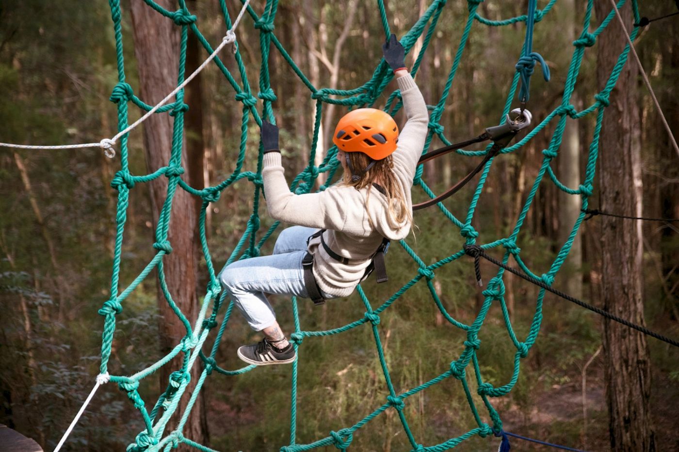 Treetops Adventure Central Coast Tree Ropes Course