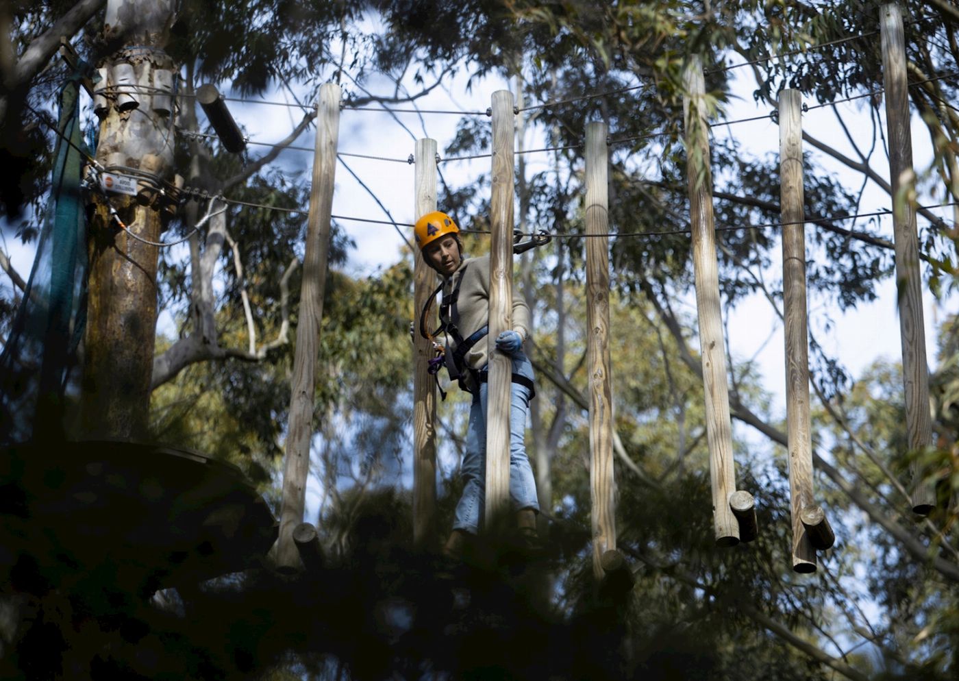 Treetops Adventure Central Coast Tree Ropes Course