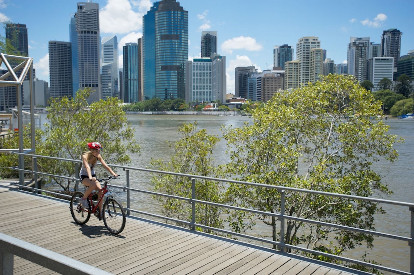 Riverlife Full Day Bike Hire - Large Bike
