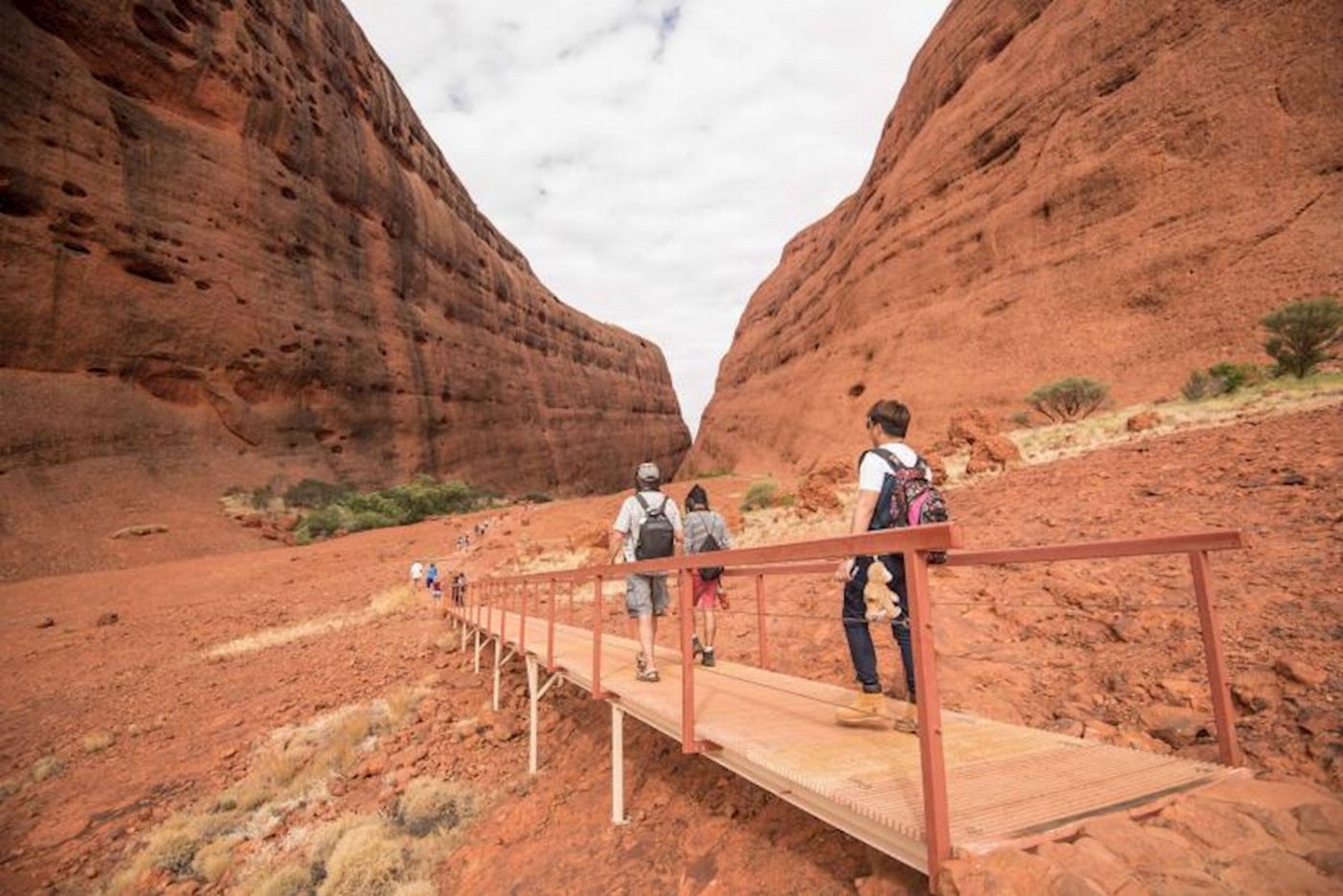 Adventure Tours (ATA) Uluru Tour with Kata Tjuta & Kings Canyon - Eco Tent (Alice Springs to Yulara) (formerly Uluru Adventure)
