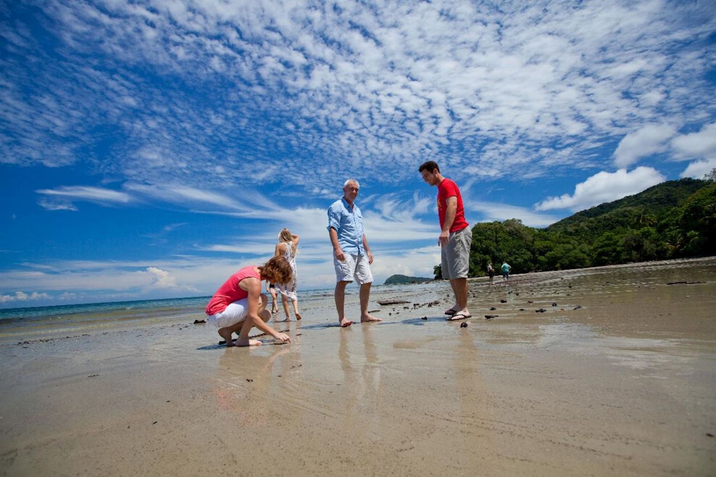 Down Under Tours Cape Tribulation, Daintree & Mosman Gorge + Lunch
