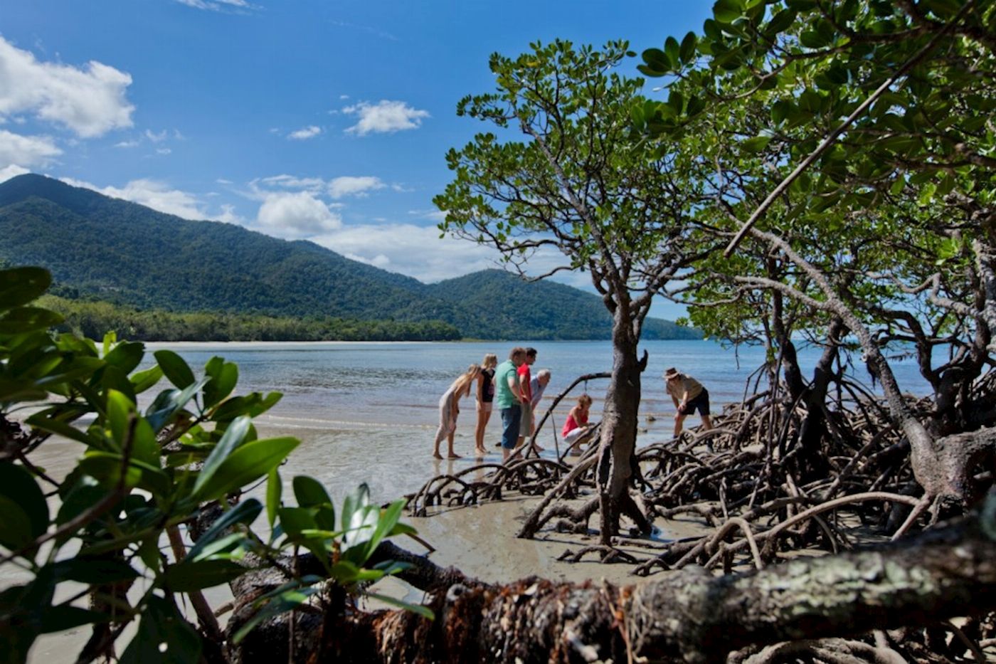 Down Under Tours Cape Tribulation, Daintree & Mosman Gorge + Lunch