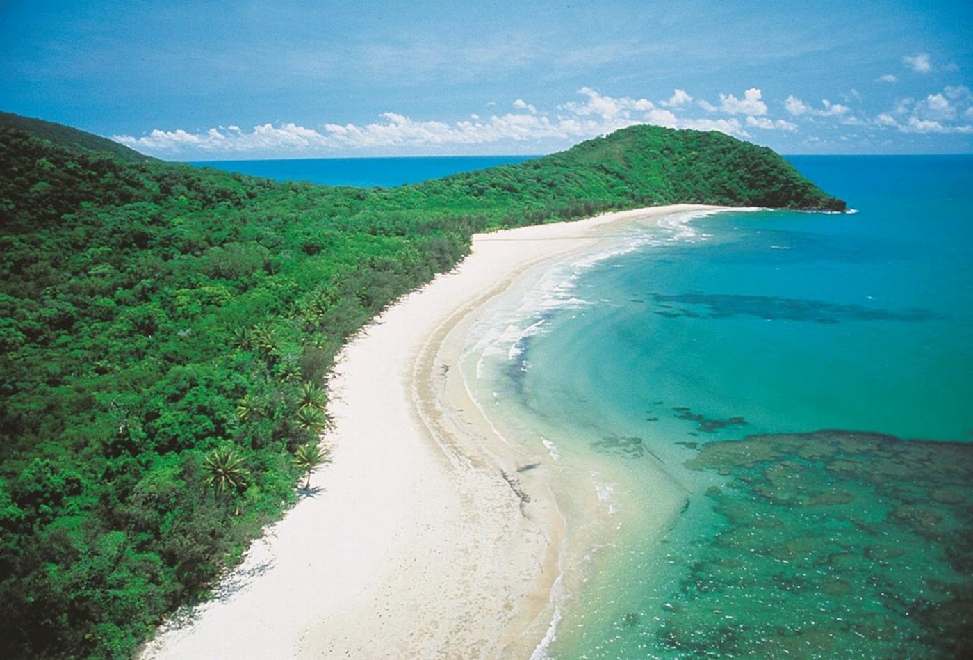 Down Under Tours Cape Tribulation, Daintree & Mosman Gorge + Lunch