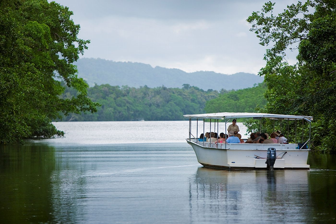 Down Under Tours Cape Tribulation, Daintree & Mosman Gorge + Lunch