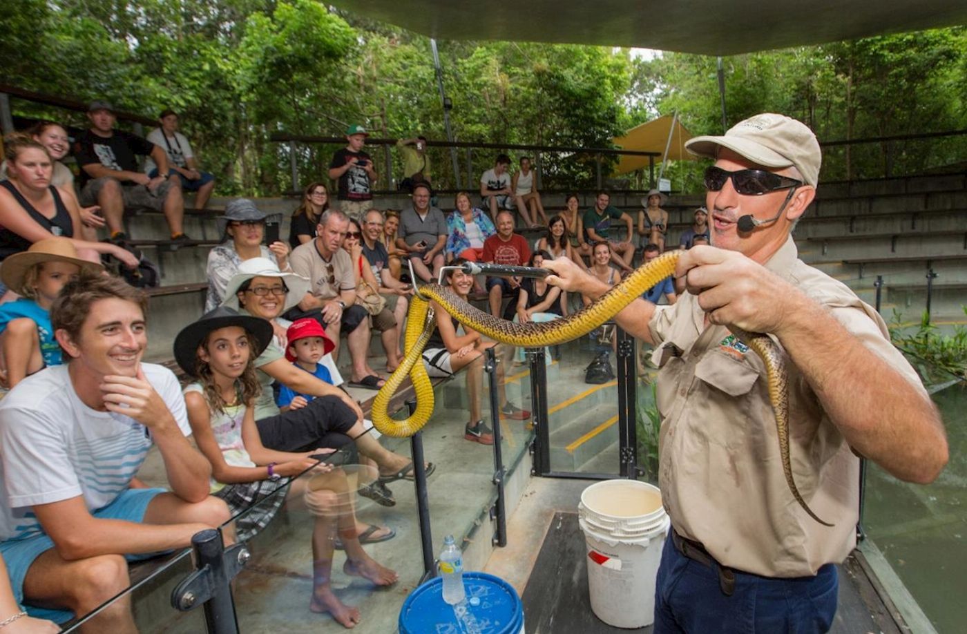 Down Under Tours Hartley's Crocodile Adventures Half-Day Tour from Cairns