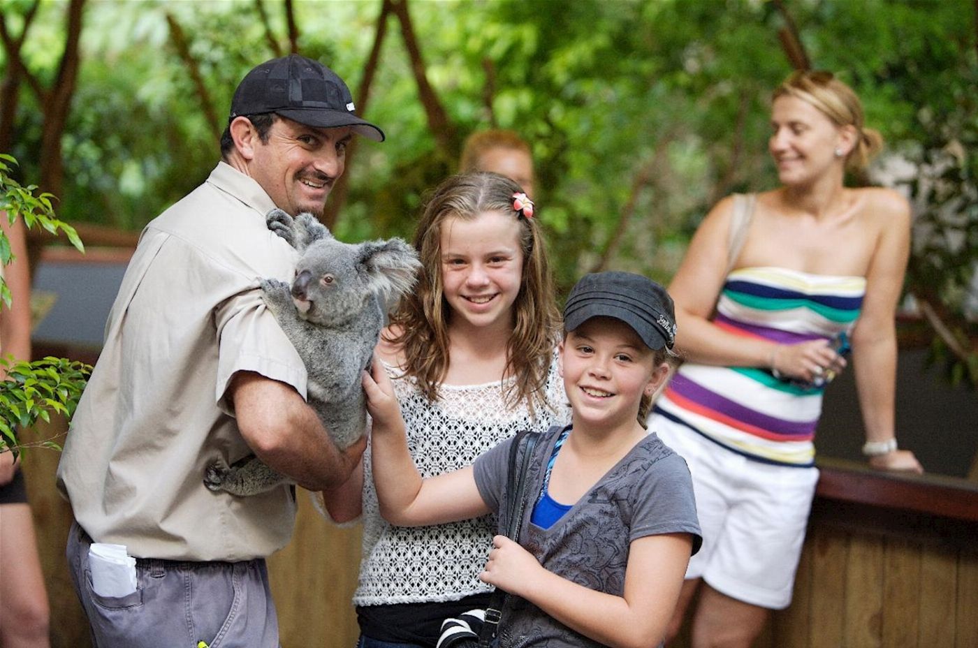 Down Under Tours Hartley's Crocodile Adventures Half-Day Tour from Cairns
