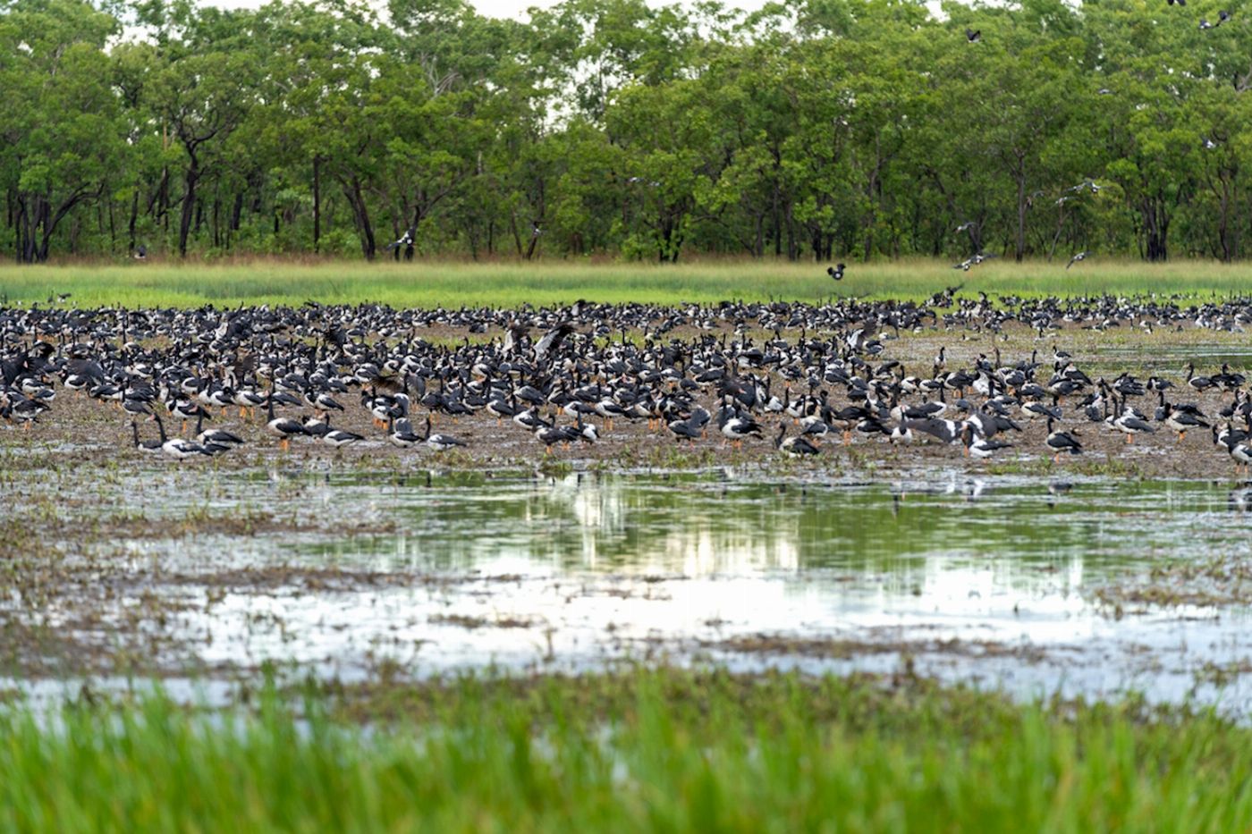 Autopia Tours Kakadu Overnight & Yellow Water Cruise - Glamping Comfort Tour