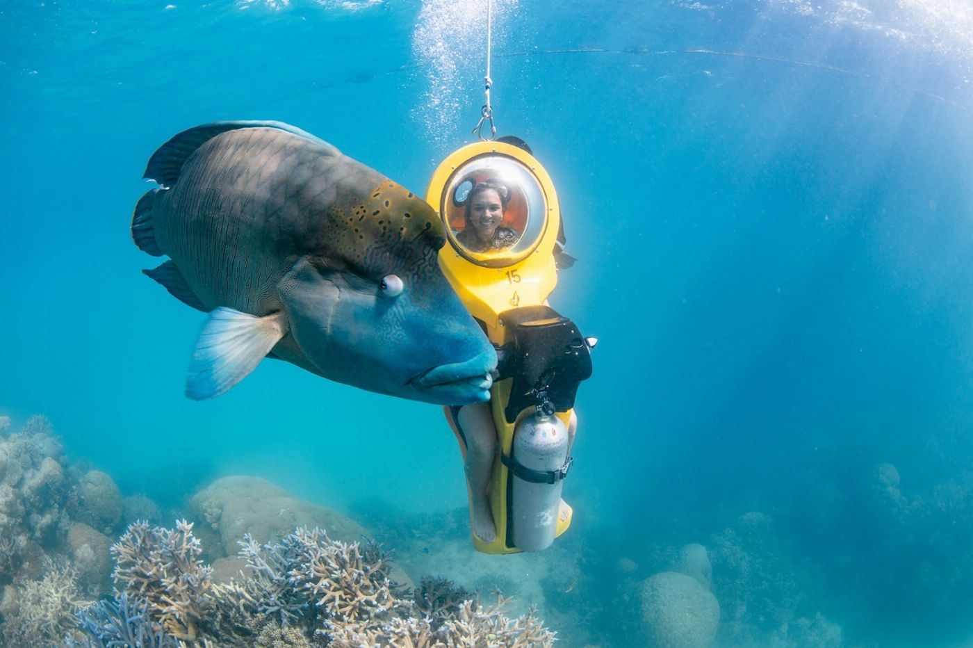 Great Adventures Moore Reef Pontoon Day Tour