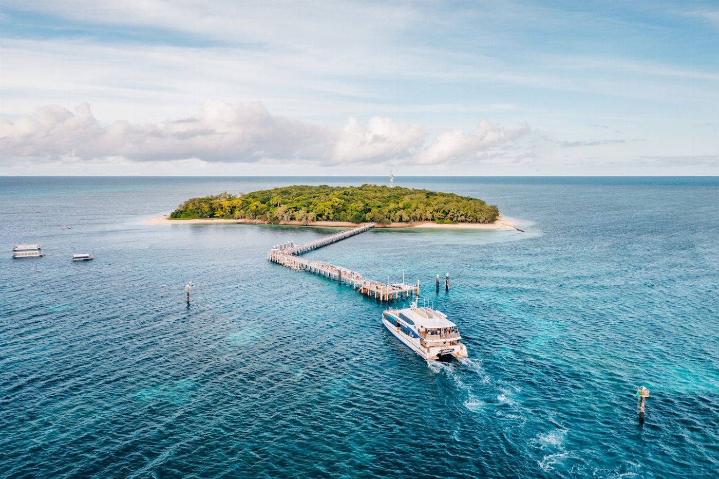 Great Adventures Green Island (Ferry Transfers Only) - Family Rate