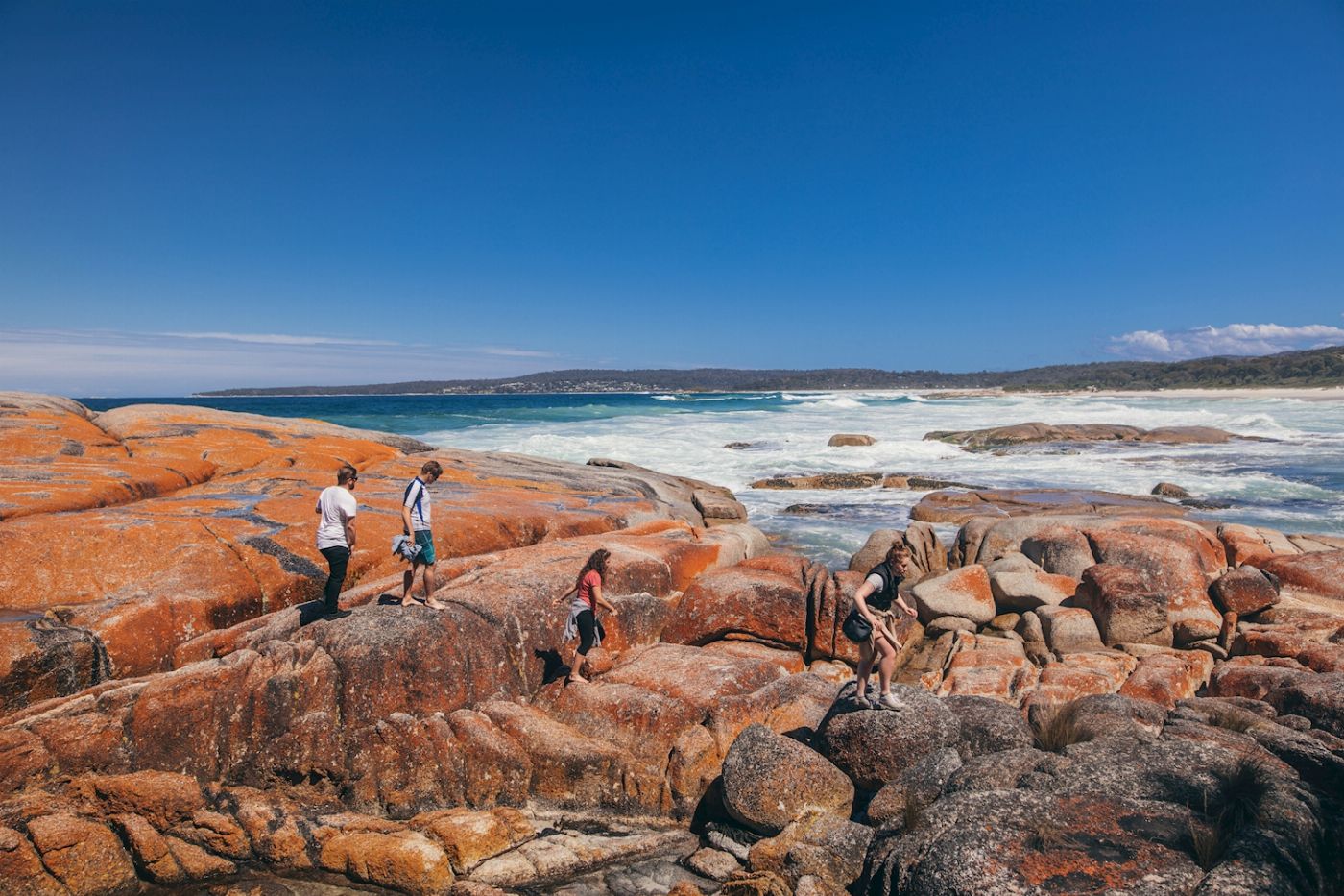 Adventure Tours (ATA) Tasmania Tour with Mt Wellington, Cradle Mountain & Freycinet National Park (formerly Taste of Tasmania)