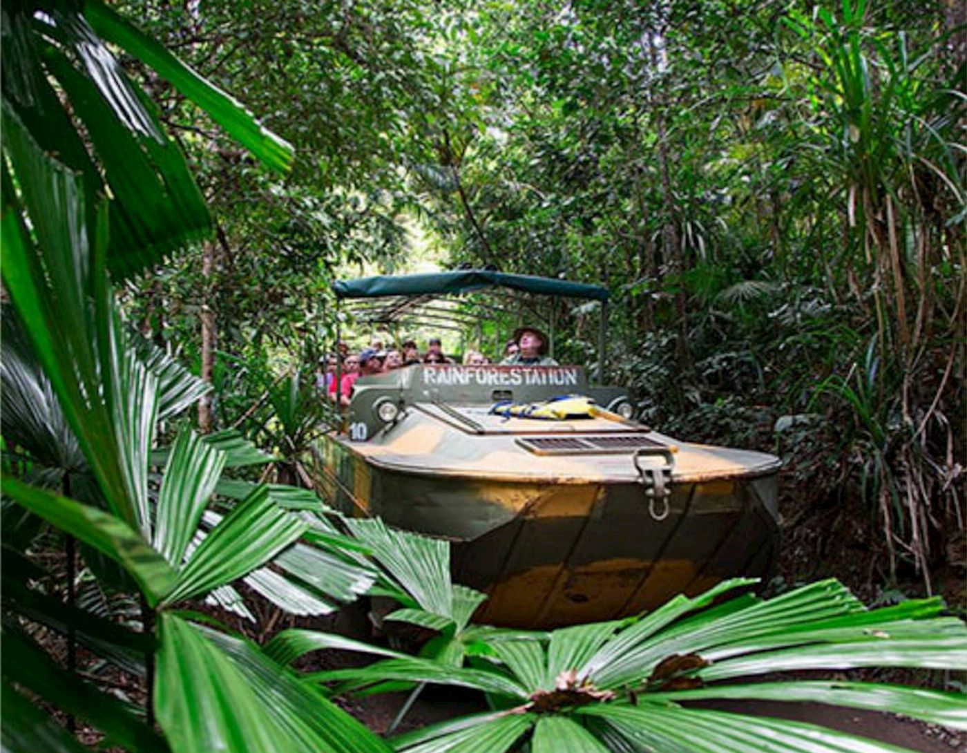 Entry to all Parks (Rainforestation Nature Park, Australian Butterfly Sanctuary, Wildlife Habitat, Cairns Koalas & Creatures).
